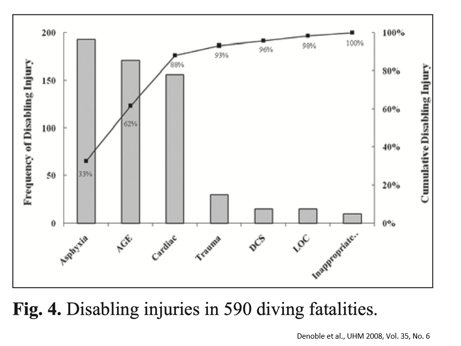 Disabling Injuries Denoble 2008