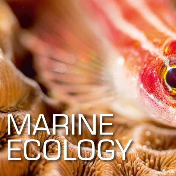 SSI Marine Ecology C-Card