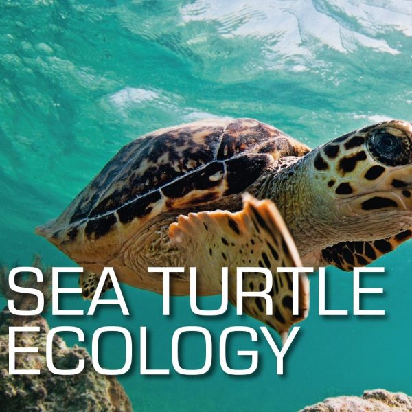 SSI Sea Turte Ecology C-Card