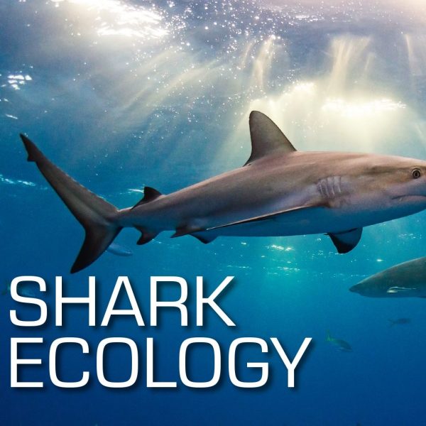 SSI Shark Ecology C-Card