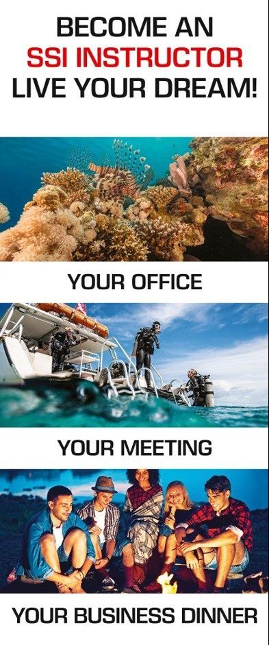 Your office, your meeting, your business dinner - #divessi #realdiving #pukfishacademy