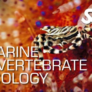 SSI Marine Ecology Specialty