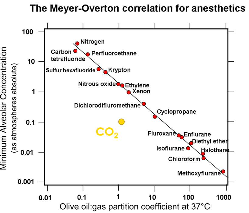 The Meyer Overton Hypothesis