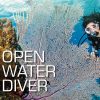 SSI Open Water Diver