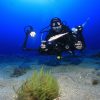 SSI Photo & Video SSI Digital Kit und Theorie zum Photo & Video Specialty Diver – Bild 4
