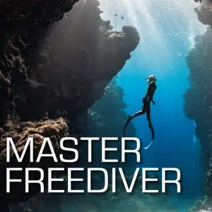 Kit digital SSI Freediver