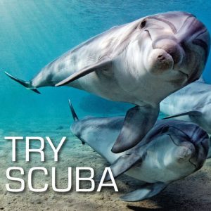 SSI Try Scuba - Teoría gratuita
