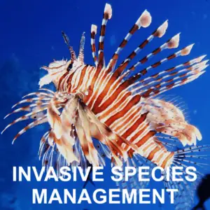 SSI Invasive Species Management