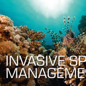 SSI Invasive Species Management