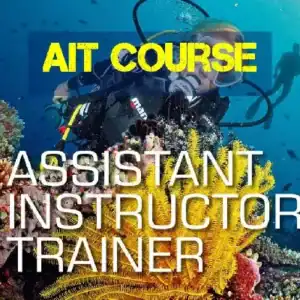 SSI Ait Course