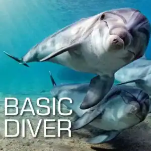 SSI Basic Diver