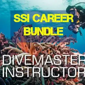 SSI Career Bundle