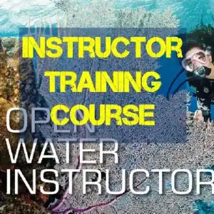 SSI ITC Course
