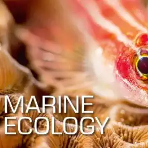 SSI Marine Ecology
