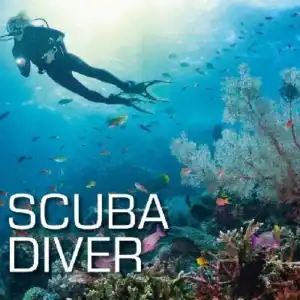 SSI Scuba Diver