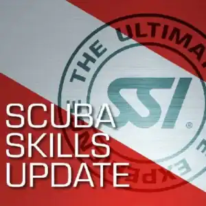 SSI Scuba Skills Update