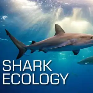 SSI Shark Ecology