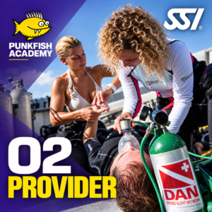 Punkfish O2 Provider – Update oder Theorie