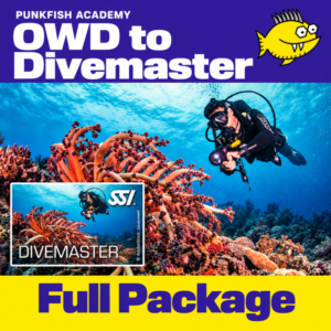 Vom OWD zum Divemaster – Komplettpaket