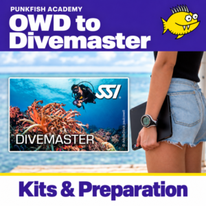 De OWD a Divemaster: kits y preparación