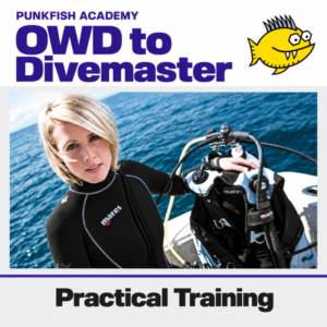 Del OWD al Divemaster – Formación práctica