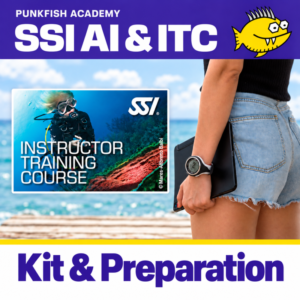 SSI AI & ITC – Kit y Preparación
