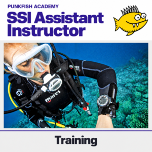 SSI Assistant Instructor – Formación