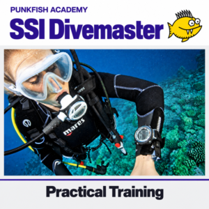SSI Divemaster – formación práctica