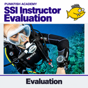 SSI Instructor Evaluation (IE) – Examen y ronda de práctica