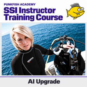 SSI ITC – Curso de perfeccionamiento para Assistant Instructor